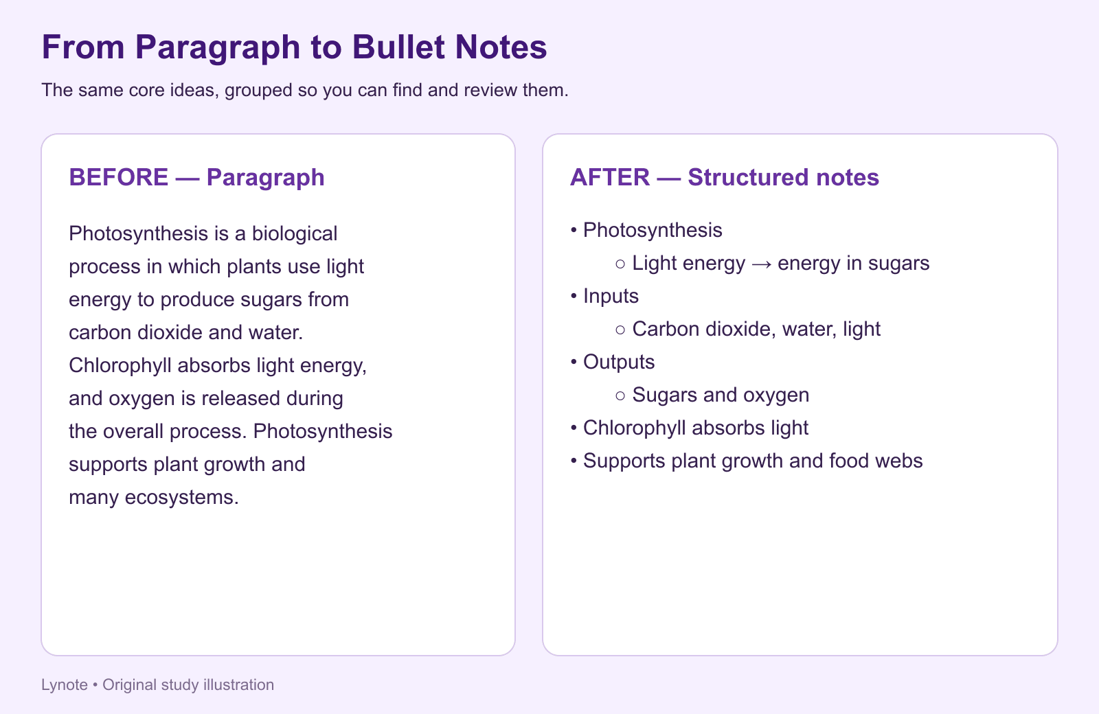 bullet point notes example - paragraph to bullet list