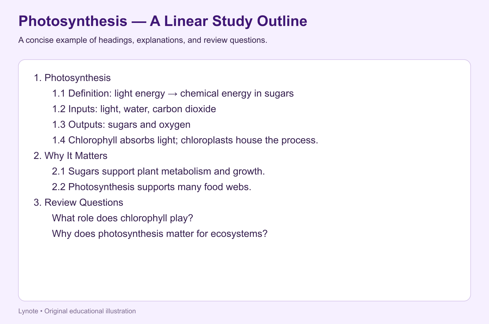 linear notes example - biology study outline