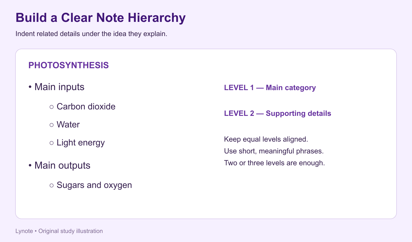 bullet point notes format - main points and subpoints