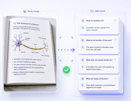 Turn Study Images Into Flashcards