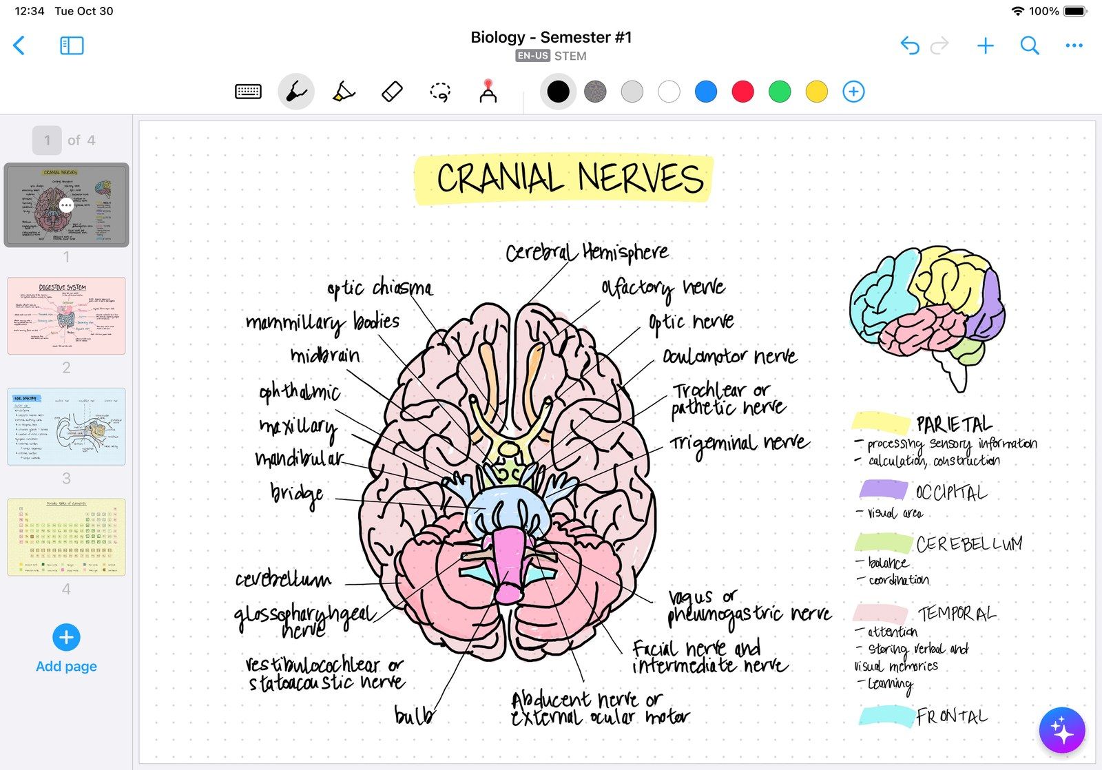 MyScript Notes official product screenshot with a handwritten biology notebook and pen tools
