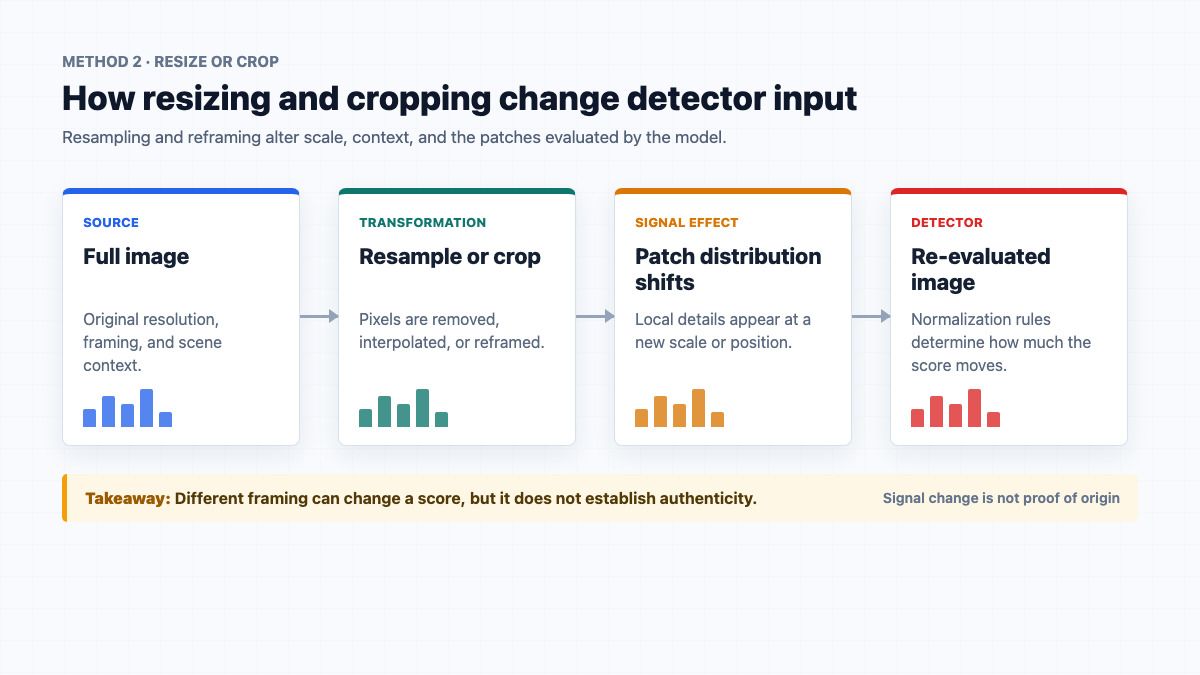 Flowchart explaining how resizing and cropping change AI detector input